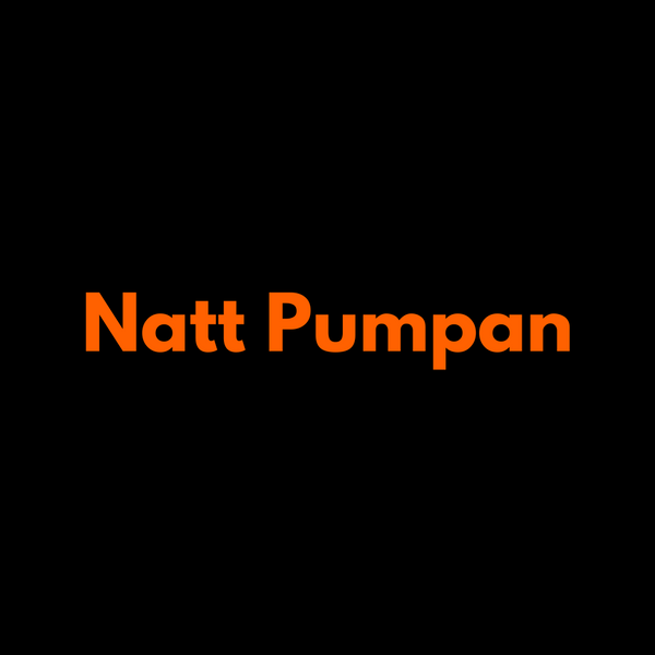 NattPumpan